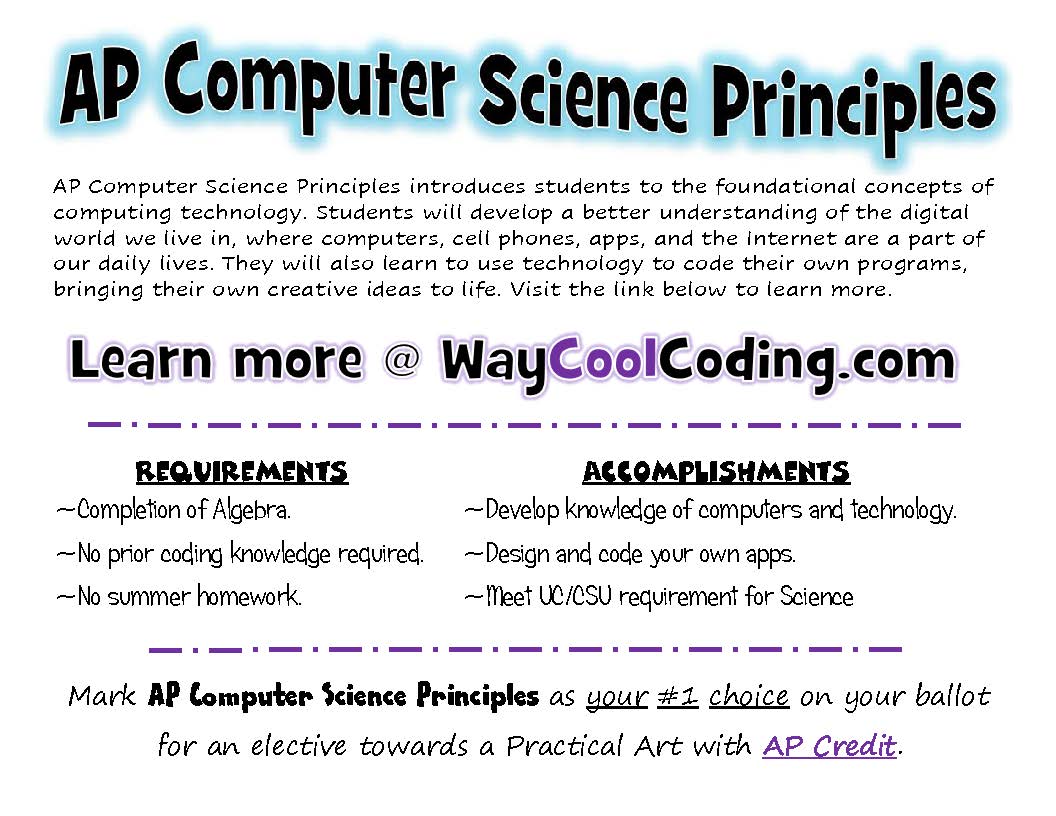 ap principles flyer